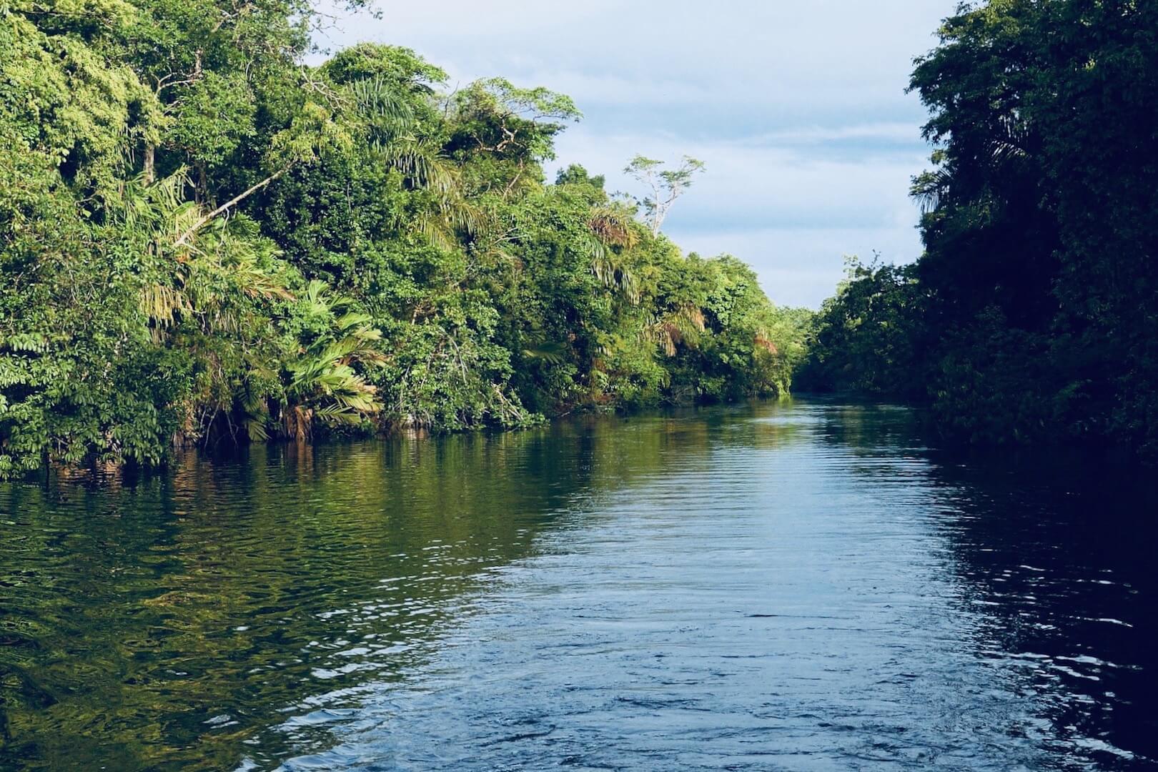 The Noriega Tapes Chapter 01 - Costa De Miskitos River Through Jungle